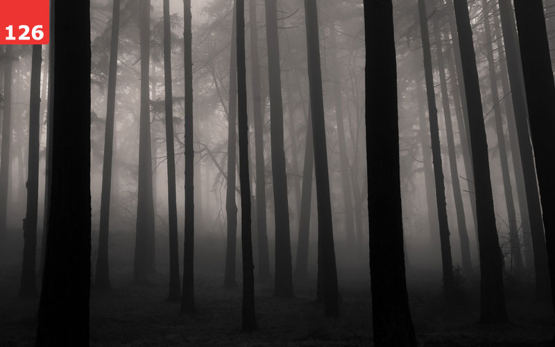 أجمل صور الضباب في الغابات  126_Fog-in-the-Forest_by_Traveling-Julie_preview