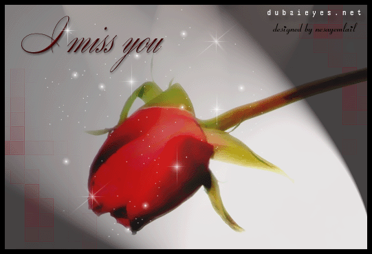 وحشتينا اسرار I-miss-you