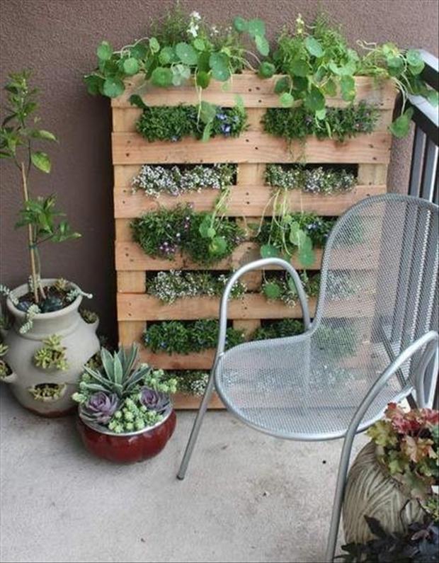 Amazing Uses For Old Pallets 214343263485267920_v7LaGsiw_c