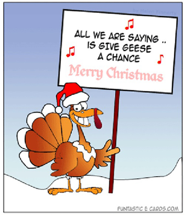 Advent.... Funny-christmas-pictures-funny-christmas-turkey