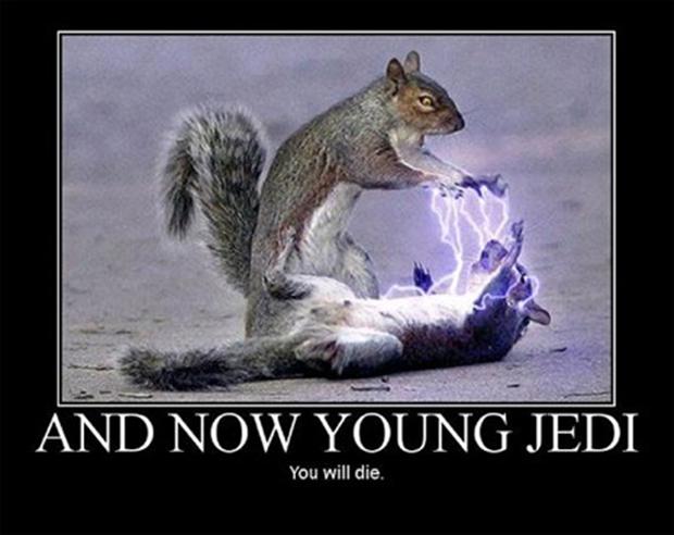 Star Wars Funnies! Funny-star-wars-pictures-and-now-young-jedi-you-will-die