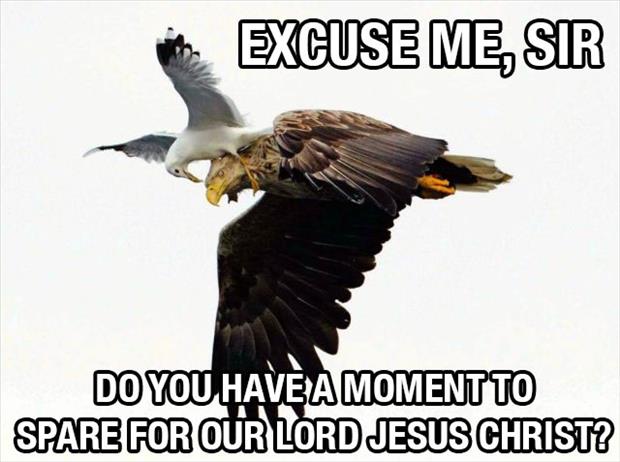 Have you let your self be a slave to  Jesus Christ  Funny-bird-wants-to-talk-about-jesus-christ1