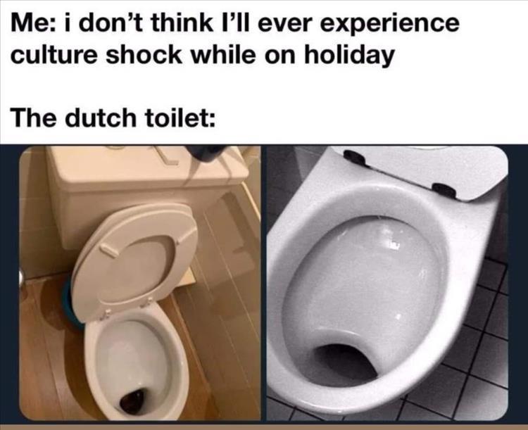 Toilets Through History - Page 5 Zz-memers-261