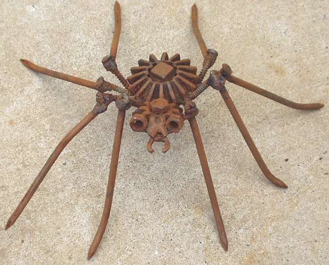 مخلوقات غريبة الاطوار Spider