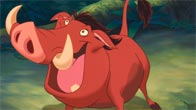 Concour de l'animal le plus drle ! Pumbaa