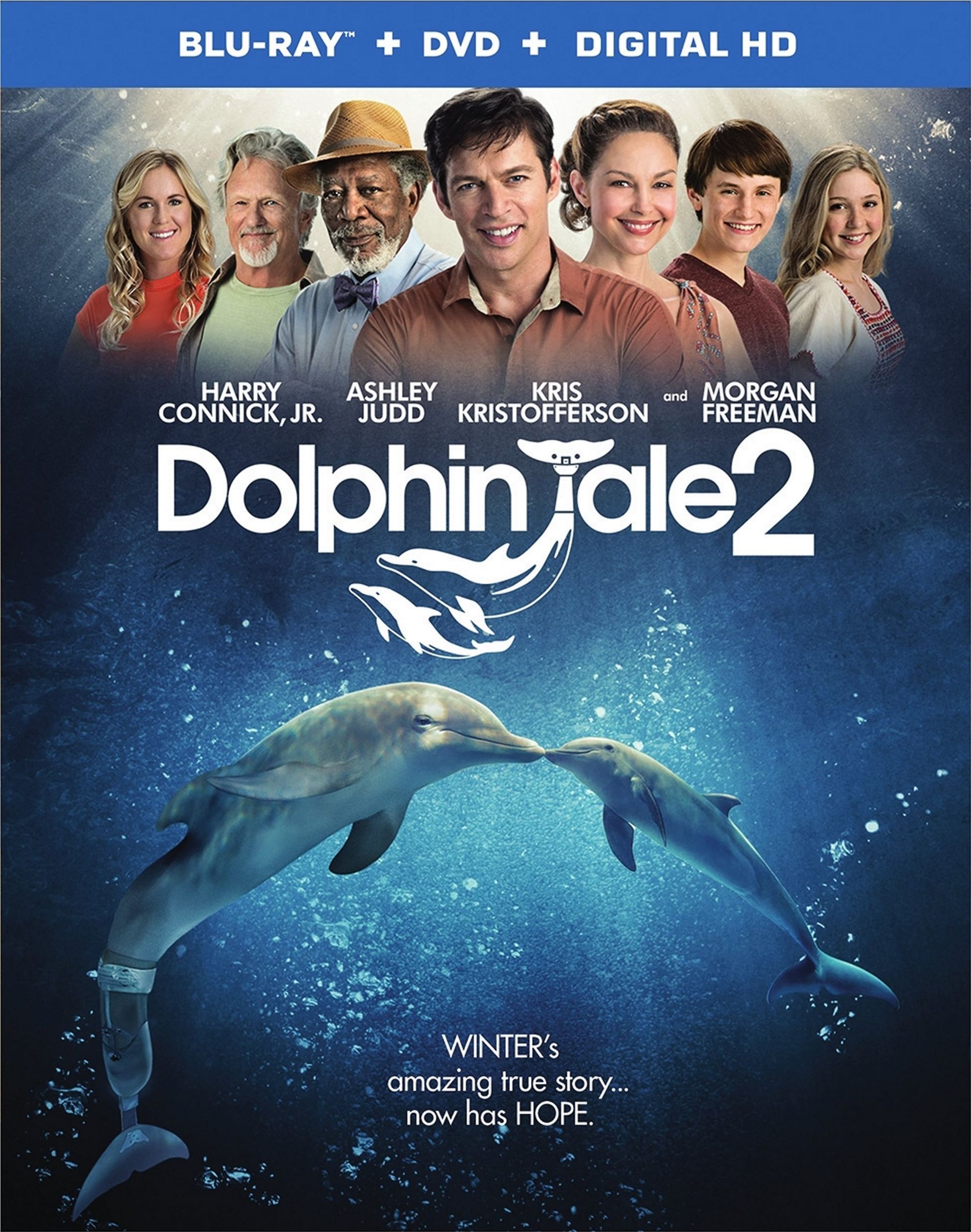 Inspired by A True Story: Dolphin Tale Dolphin-tale-2-blu-ray-cover-43