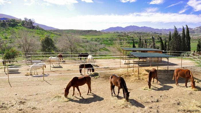 Refugio de caballos 16768191_401