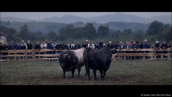 Bosanska korida između sjećanja i pomirenja 36361617_401