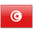 Match amical Tunisie-Algérie le 10 ou 11 janvier 2015 à Tunis ou à Monastir Tunisia