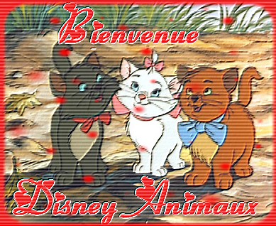 Votre abnimal Disney préféré Accueil_disneymagie_843422095