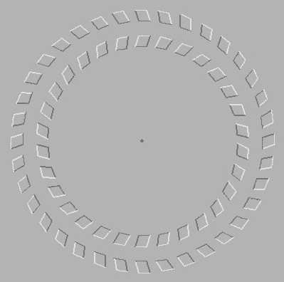 Iluzii optice Rotire
