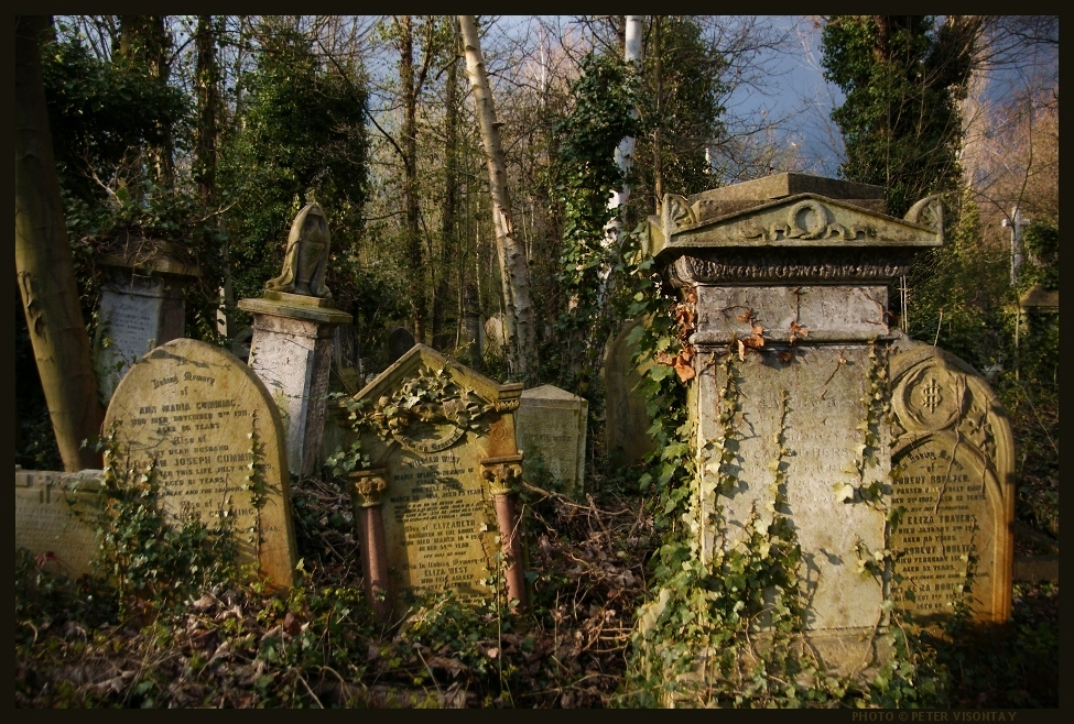 ¿Visitas de Vez en Cuando o Regularmente Algún Cementerio? England_London_Graveyard_Abney_Park1