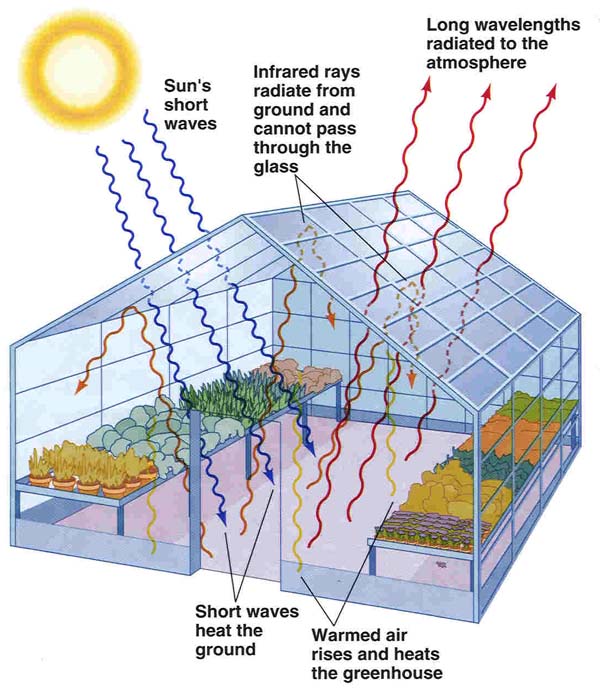   The greenhouse effect is a natural occurrence that maintains Earth's average temperature at appro Greenhouse