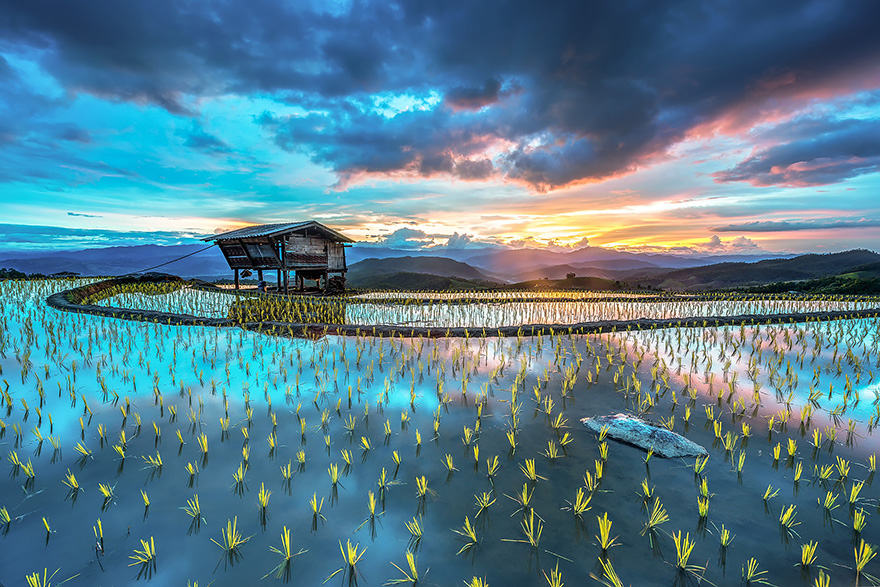 24 Entrancing Rice Fields That Resemble Broken Glass Terraced-rice-fields-4__880