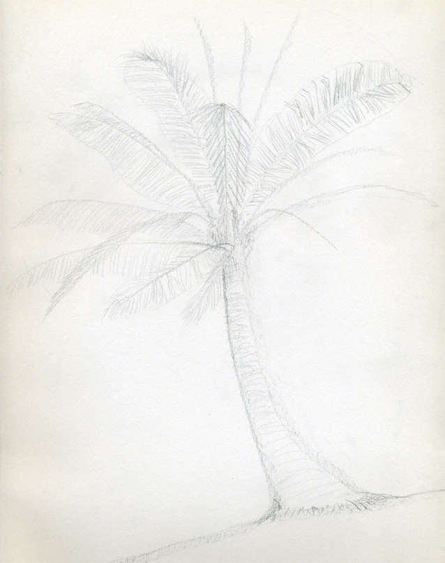 تعليم الرسم للأطفال: Draw-palm-trees04