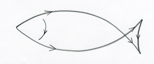 اسماك مختلفه .... How-to-draw-a-fish03