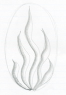 رسم نار How-to-draw-flames02s