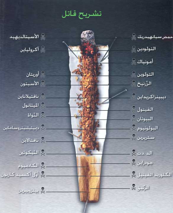 لا للتــــــــــــــــــــــدخين  02.20101020224923