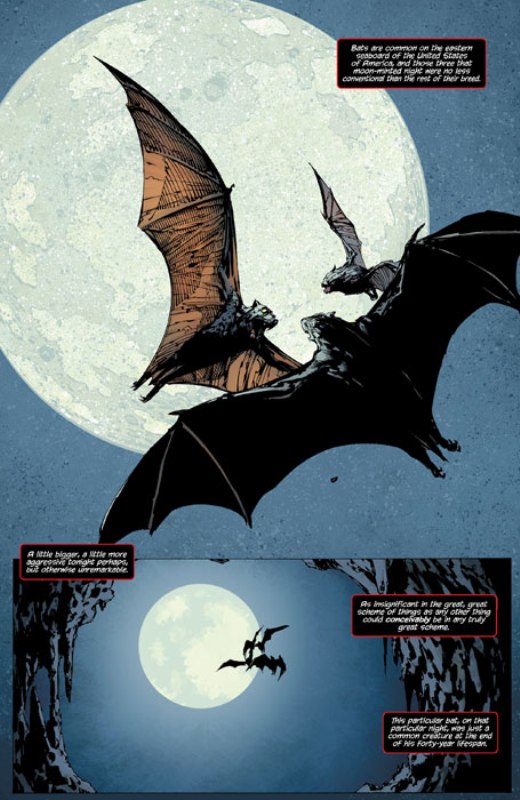 Batman: The Return [One-Shot] Bmret_1_dylux_01-copy.201011179411