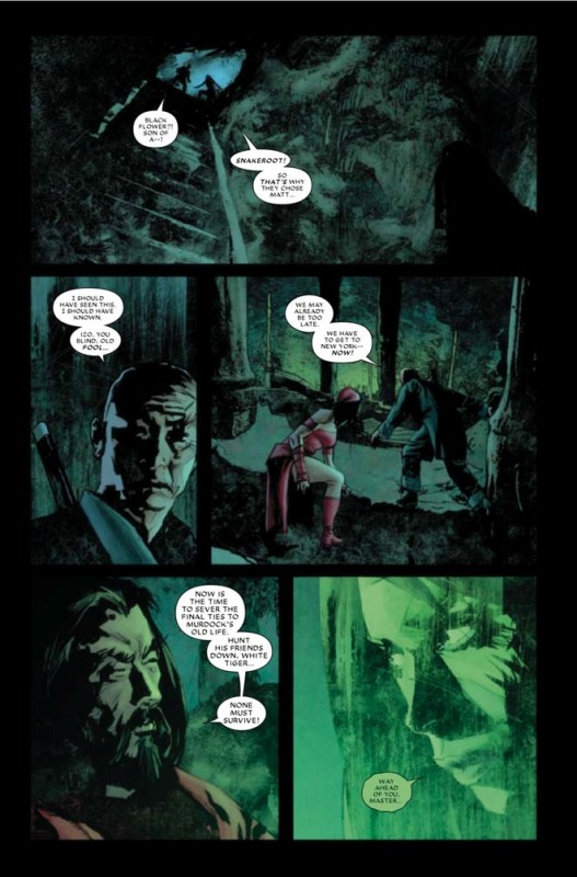 Daredevil #501-512 [Série] - Page 2 Daredevil5096.2010812115656