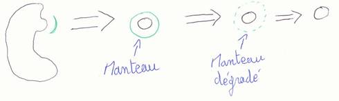 MODULE : BIOLOGIE CELLULAIRE L'appareil de Golgi Image006.201062603550