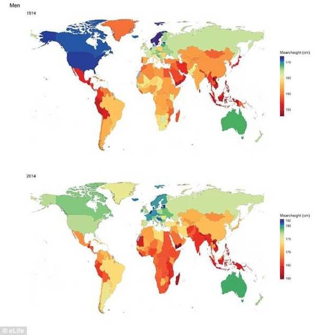 Estatura media en el mundo Imagen-sin-titulo