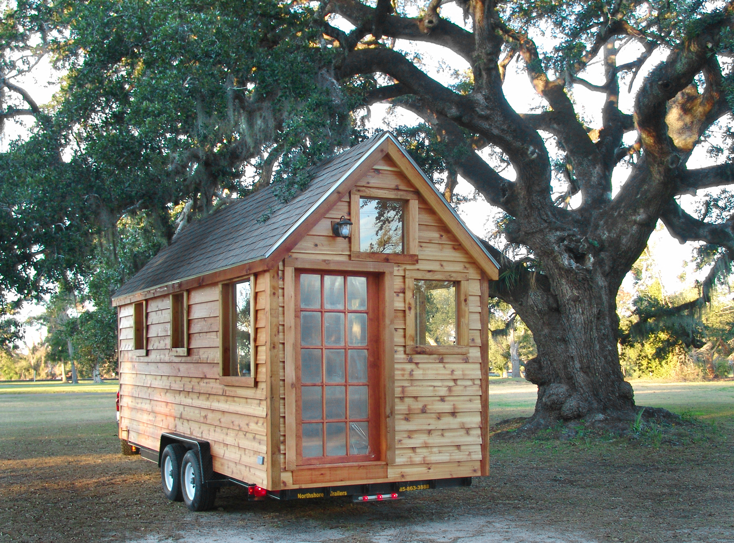 Urban Danger - Congressman Says Get Out of Major Cities Tiny-house-under-tree