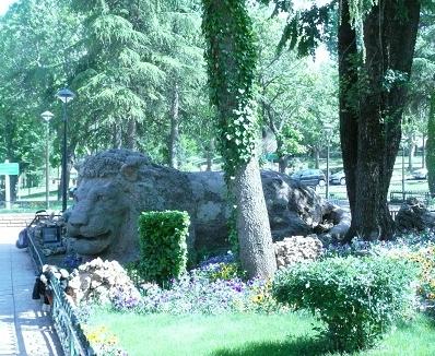     Lion%20ifrane%203