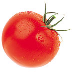  {  }    Tomato