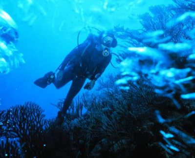 Picture counter game - Page 2 400px-Scuba_diver