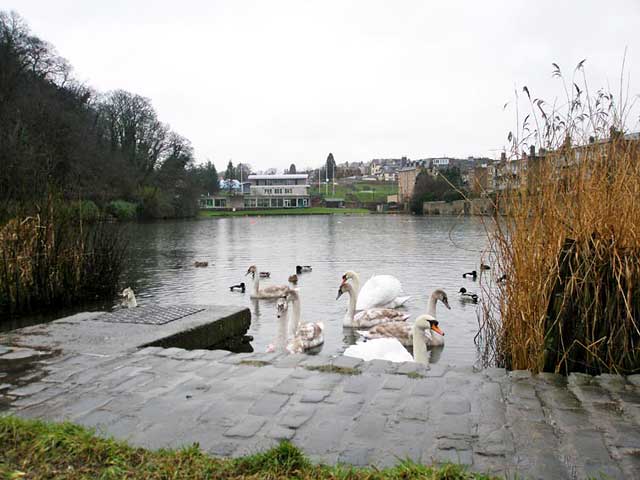 Let's Not Forget Brenda  - Page 9 0_around_edinburgh_-_craiglockhart_pond_nl