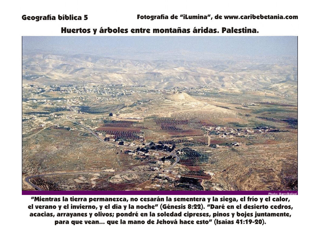 PALESTINA - Huertos y árboles entre montañas y tierras áridas - Palestina Geografia_5_PG