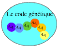 cours de Biologie Moléculaire  Logocode