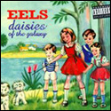 eels Daisiesdsc