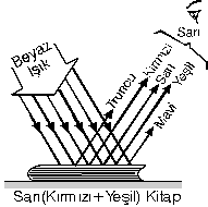 Optik & Fizik & Ölçme Cep_fi486