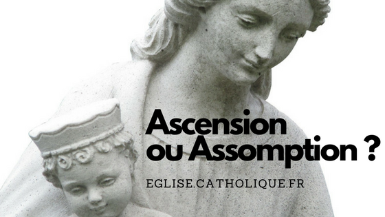 Marie, élevée dans la gloire de Dieu  : l'Assomption 5-1