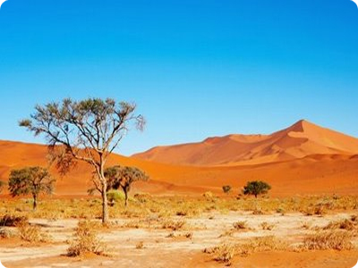 Najveće pustinje na svetu  Kalahari-desert-in-south-africa