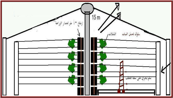 صوب زاعية هرمية الشكل تزيد إنتاج الفدان خمسة وعشرون ضعفا %D9%87%D8%B1%D9%851