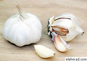 فوائد الثوم كثيرة Garlic