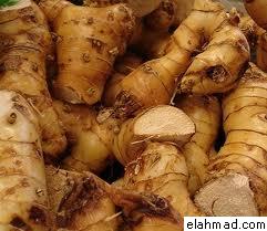 اكبر موسوعة للأعشاب الطبية Galangal