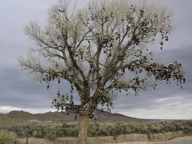 Imágenes graciosas - Página 3 Shoetree1