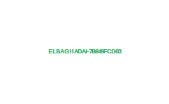   2009 Elbaghadai-7b849fcd03