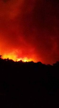  حريق مهول يأتي على غابات بولاية بومرداس ربي يستر 600x1089x13649481_151424775278732_563625769_n.jpg.pagespeed.ic.-PY9PpPfAn