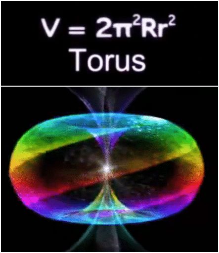 Viajar en el tiempo.. UN SUEÑO IMPOSIBLE, SEGÚN UN SIMULADOR DEL BIG BANG - Página 3 Thrive-toroide