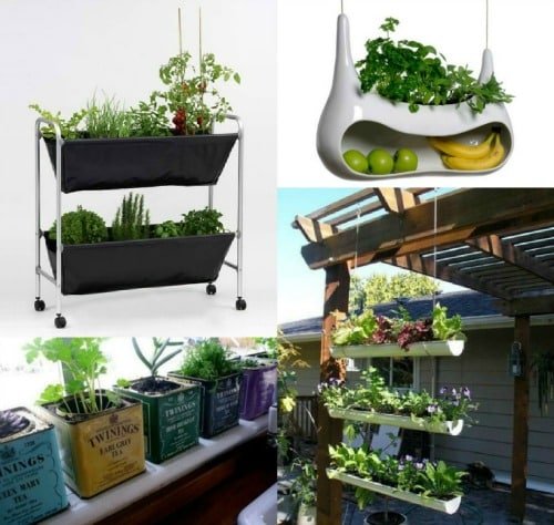 Ideas para cultivar plantas aromáticas en casa Hierbas-en-la-cocina