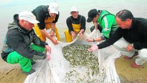 Un sonar censa los peces del Embalse del Ebro 1348259