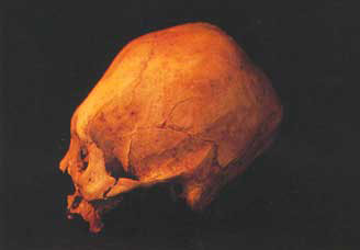 Hallan cementerio de cuerpos con cráneos alargados Gua_138