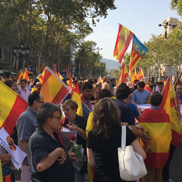 Adelante por España | Campaña Electoral | Cataluña no es solo suya Banderes%20espanyoles%20PP%20Nicol%C3%A0s%20Tom%C3%A0s_1_630x630