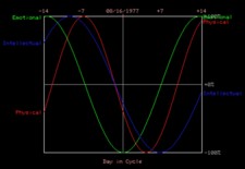 Elvis's biorhytm charts on the day he died. Bio1_sml