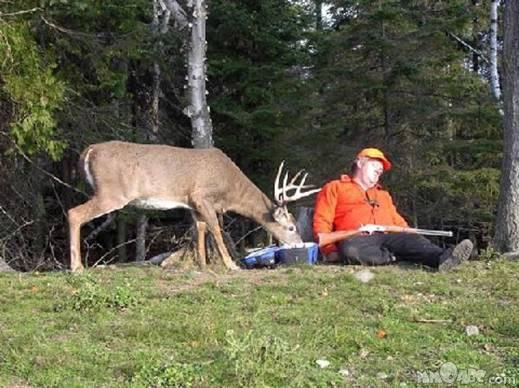 Ha que c'est beau la Lozère Joke-chasseur-qui-dort